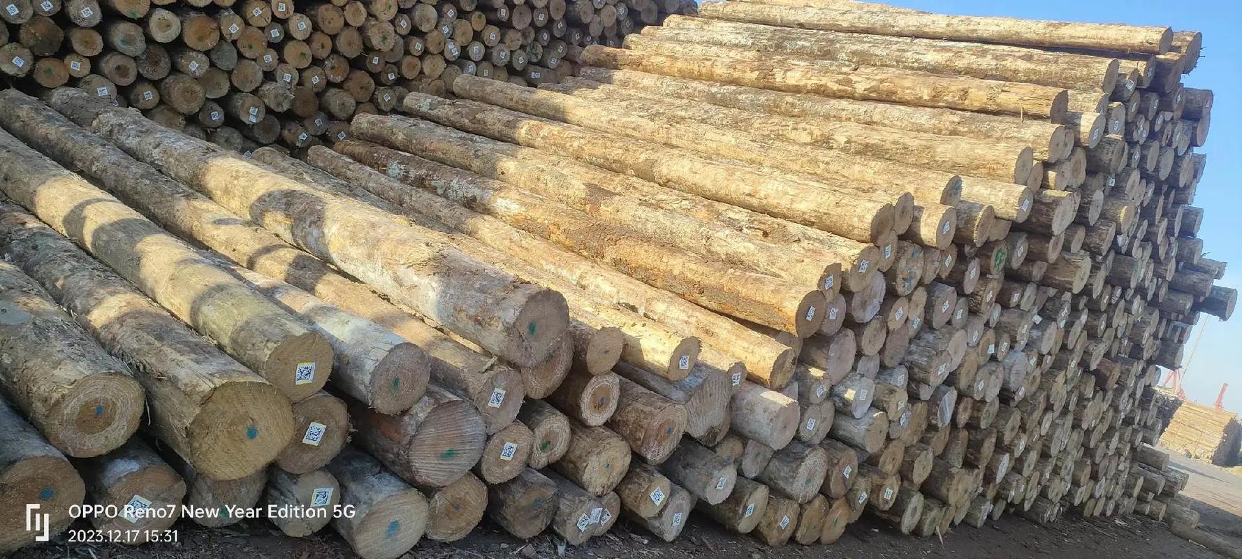 木材加工廠 #木托盤 #包裝箱 #旋切 #進口木材 1